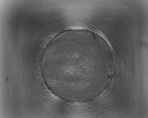 X0000062640385200601041102