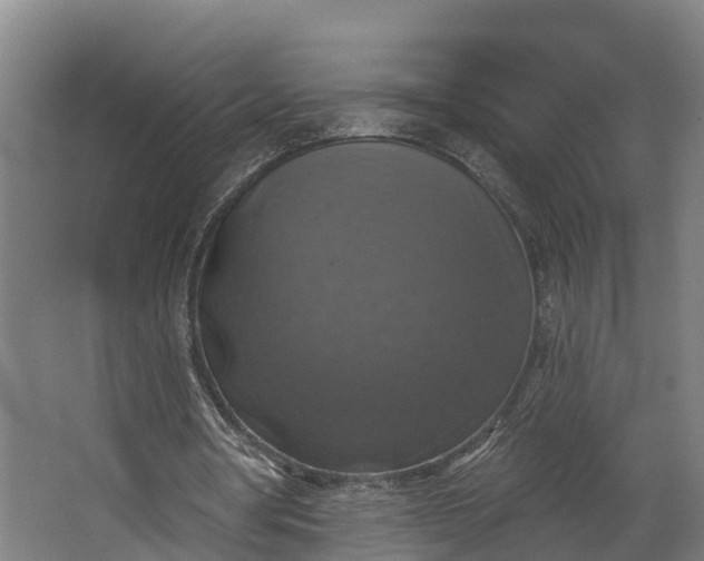 X0000062640386200601041102