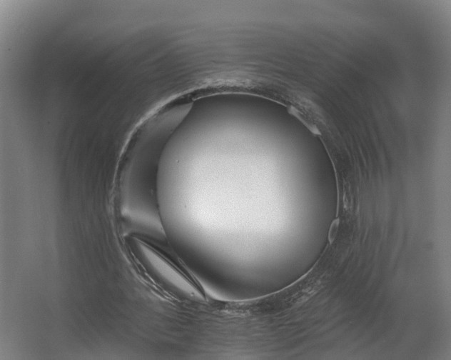 X0000062640388200601041102