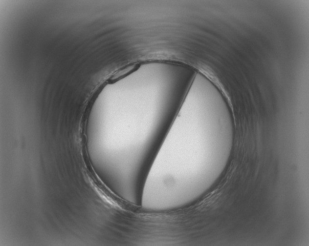 X0000062640389200601041102