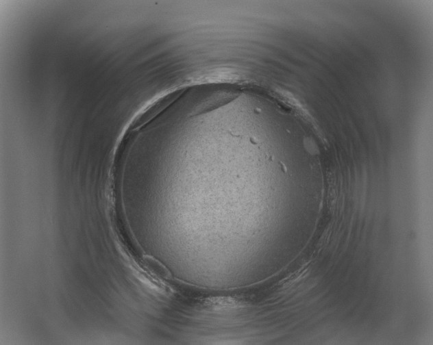 X0000062640392200601041102