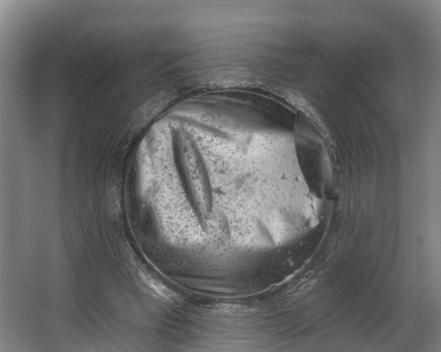 X0000062640393200601041102