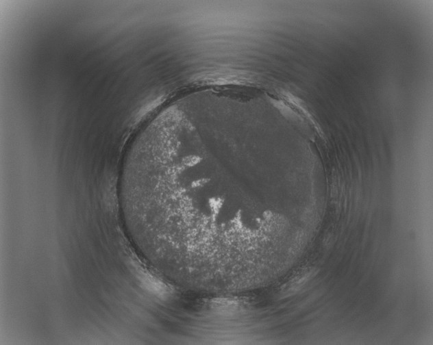 X0000062640394200601041102