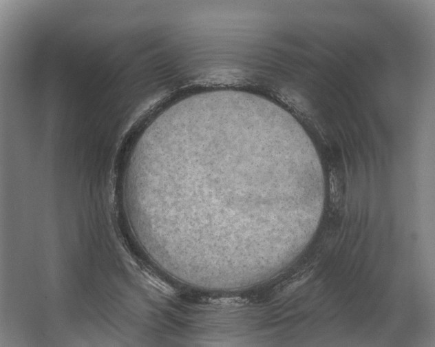 X0000062640396200601041102