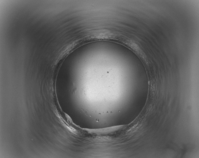 X0000062640397200601041102