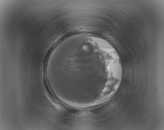 X0000062640398200601041102