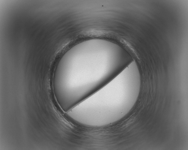 X0000062640399200601041102