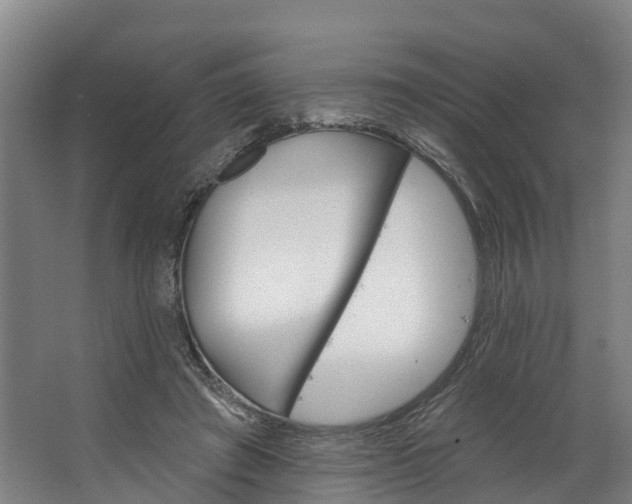 X0000062640401200601041102