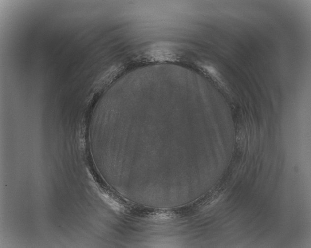 X0000062640402200601041102