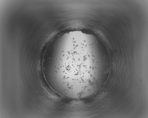 X0000062640403200601041102