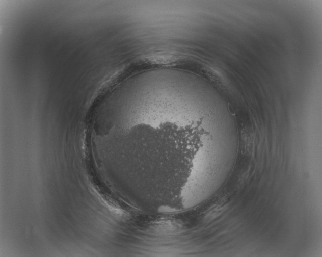 X0000062640404200601041102