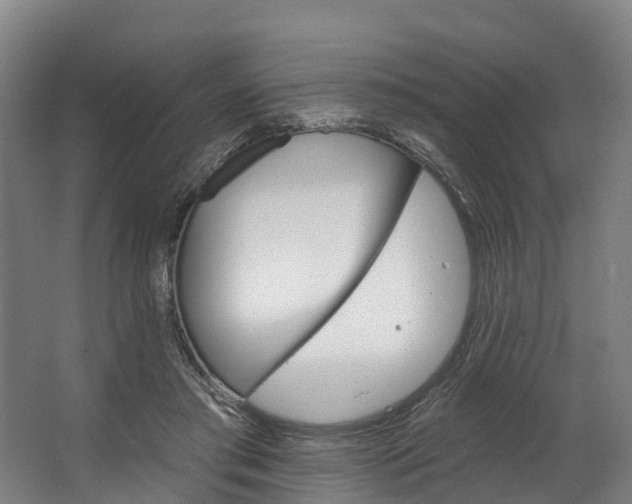 X0000062640405200601041102