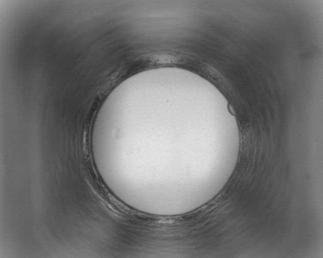 X0000062640406200601041102