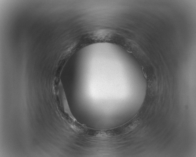 X0000062640416200601041102