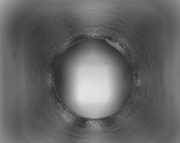 X0000062640417200601041102