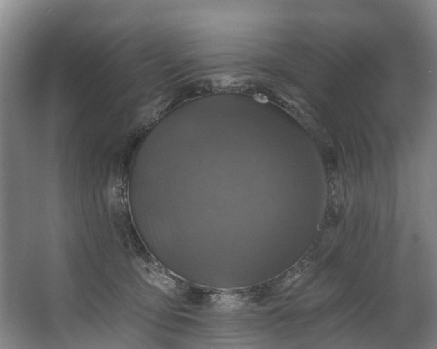 X0000062640419200601041102