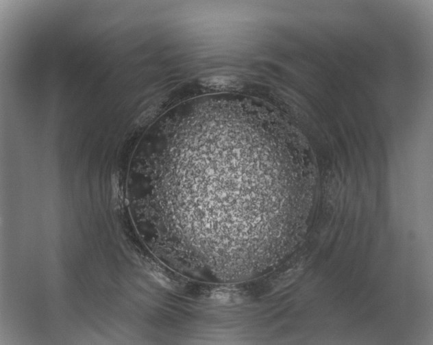 X0000062640420200601041102