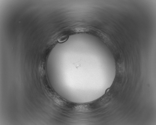 X0000062640422200601041102