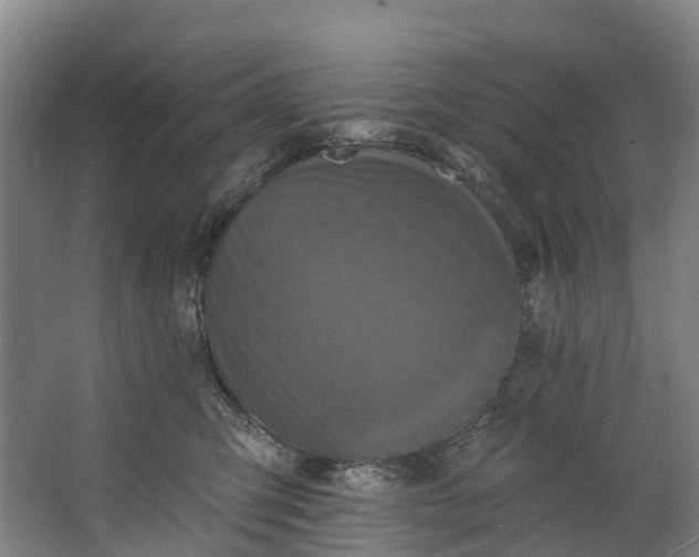 X0000062640423200601041102