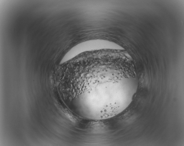 X0000062640424200601041102