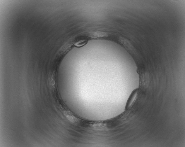 X0000062640426200601041102