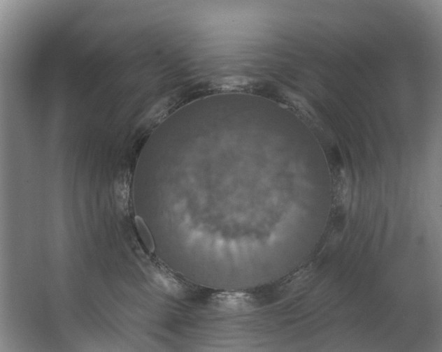 X0000062640427200601041102