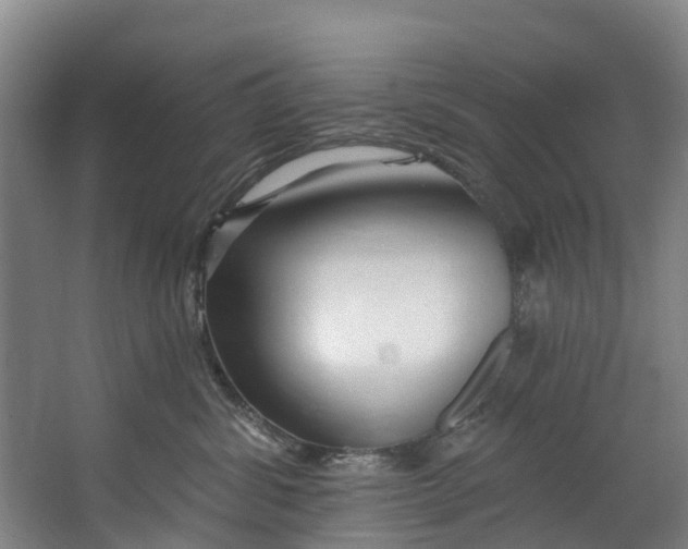 X0000062640428200601041102