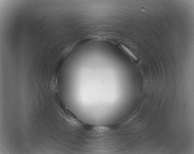 X0000062640429200601041102