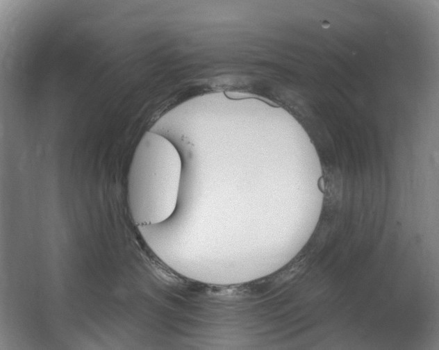 X0000062640430200601041102