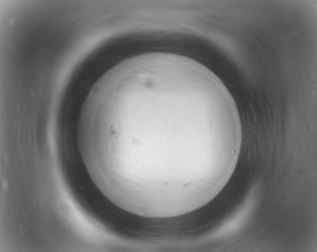 X0000062640431200601041102