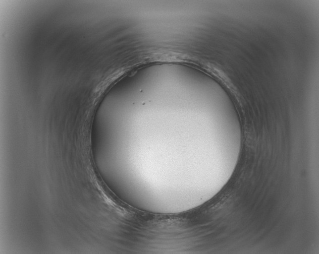 X0000062640433200601041101