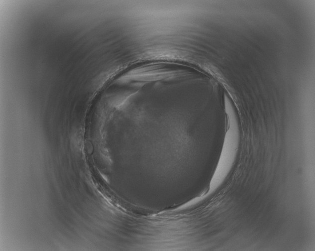 X0000062640434200601041101