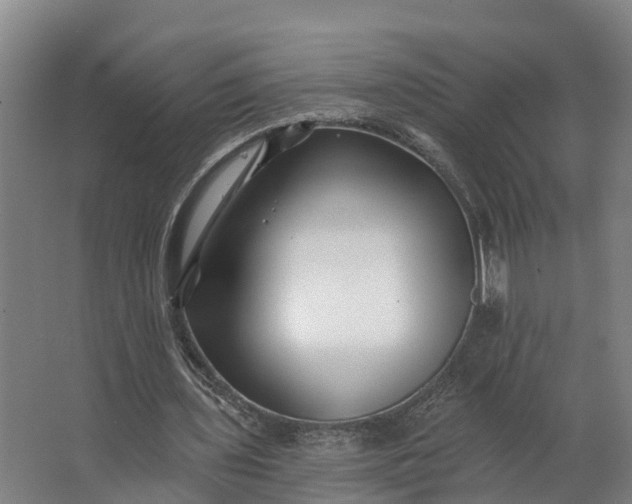 X0000062640435200601041101