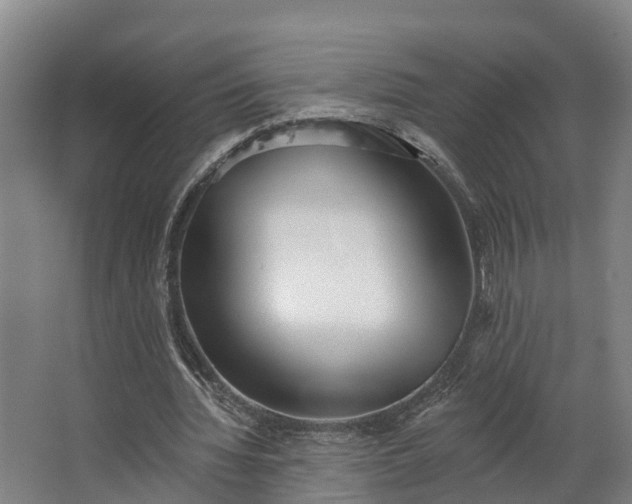 X0000062640436200601041101