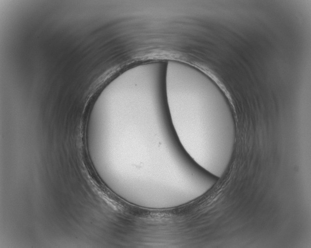 X0000062640437200601041101