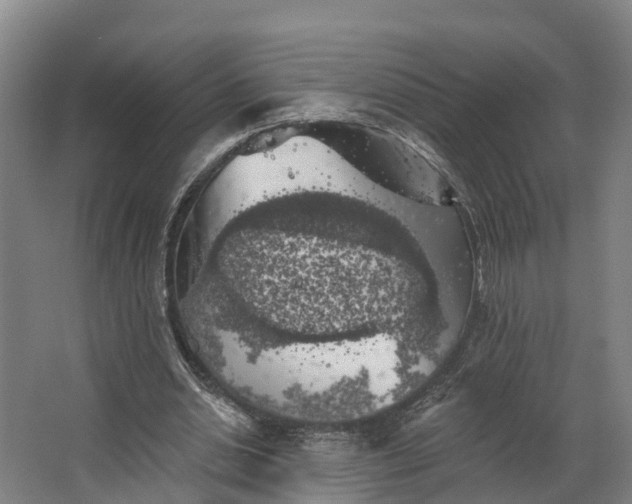 X0000062640438200601041101