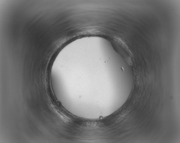 X0000062640439200601041101