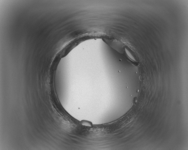 X0000062640440200601041101