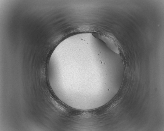 X0000062640441200601041101