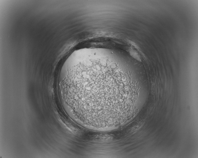 X0000062640443200601041101