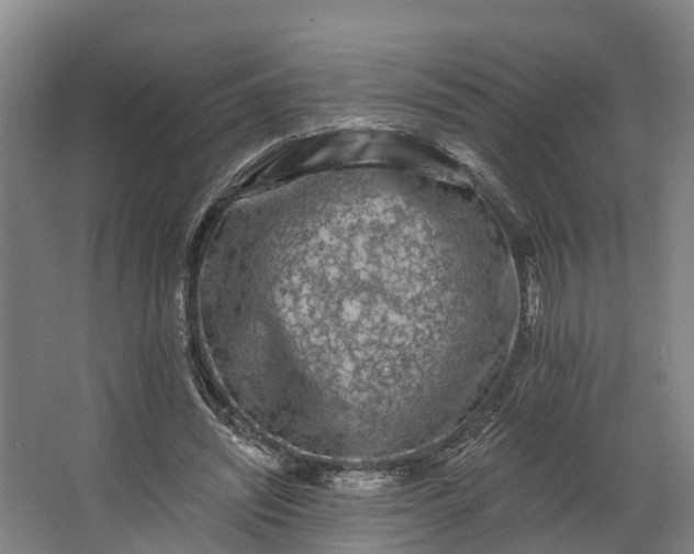 X0000062640444200601041101