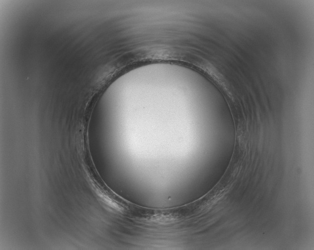 X0000062640445200601041101