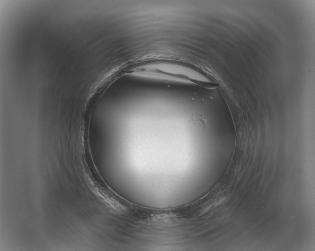 X0000062640446200601041101