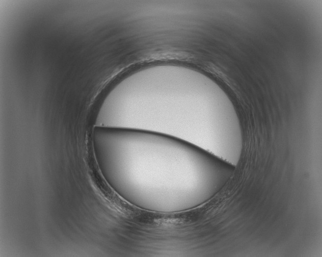 X0000062640448200601041101