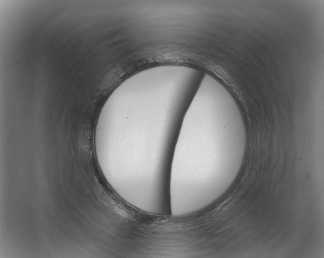 X0000062640449200601041101