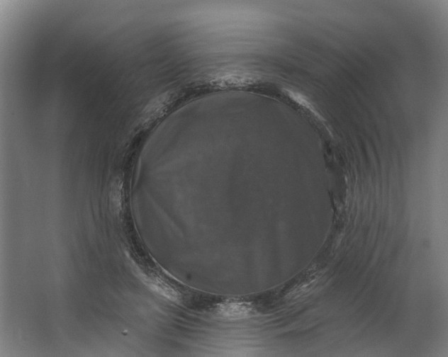 X0000062640451200601041101