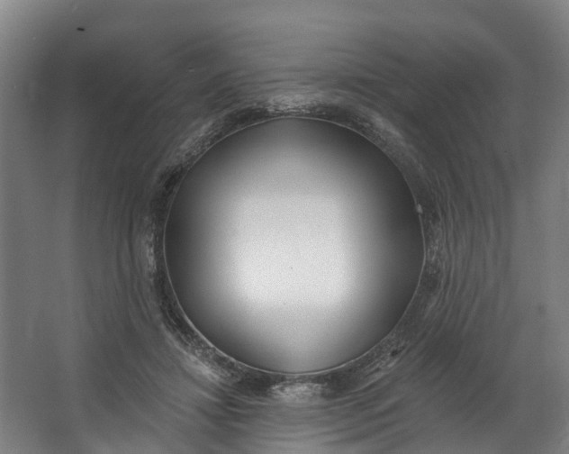 X0000062640452200601041101