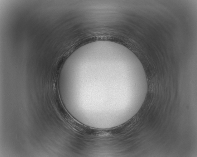 X0000062640456200601041101