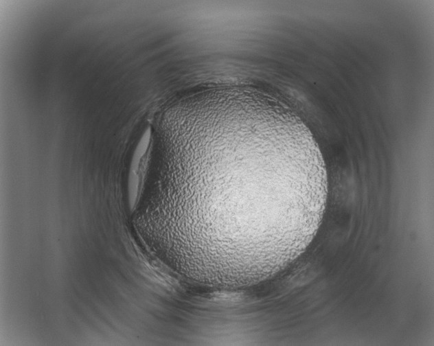 X0000062640457200601041101