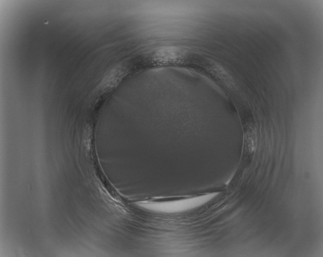 X0000062640458200601041101